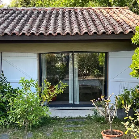 בית הארחה Maison Albatros