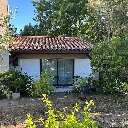 בית הארחה Maison Albatros 4*
