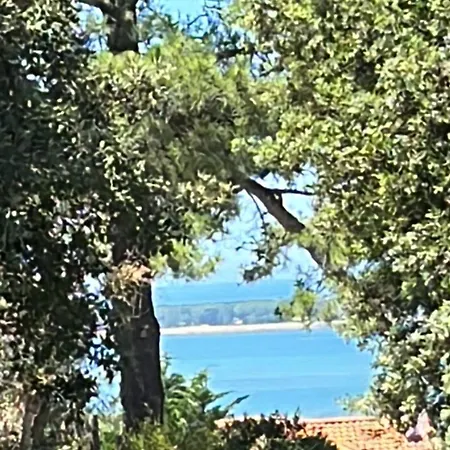 Maison Albatros *