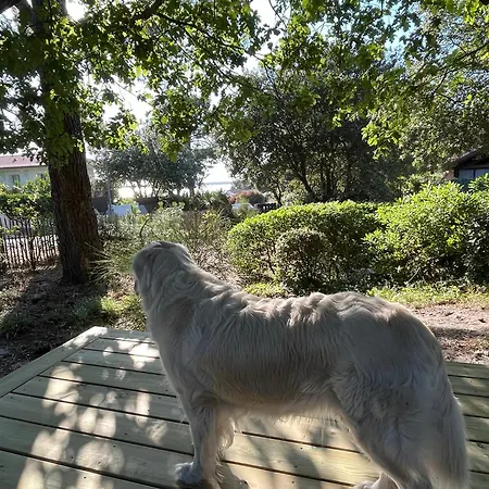 Gæstehus Maison Albatros