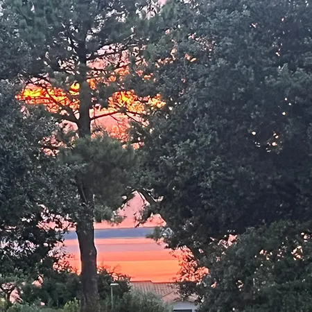 Maison Albatros Pensión 4*