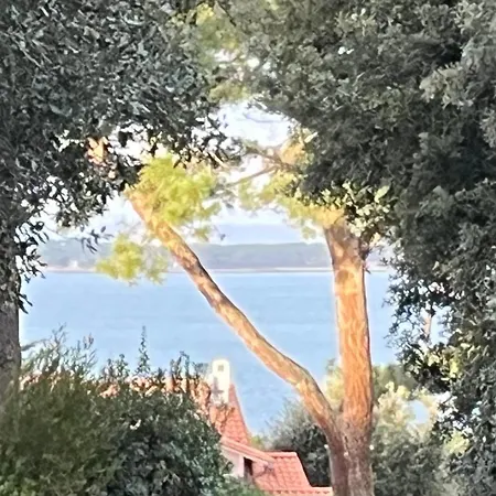 Maison Albatros 4*