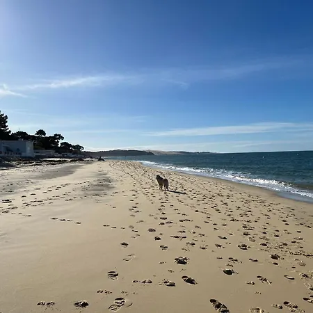 Maison Albatros Gæstehus 4*