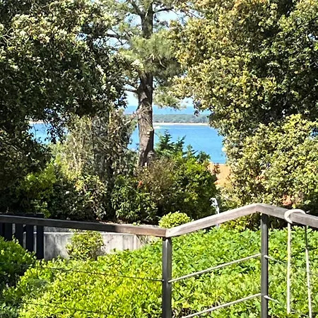 Maison Albatros Pyla Sur Mer