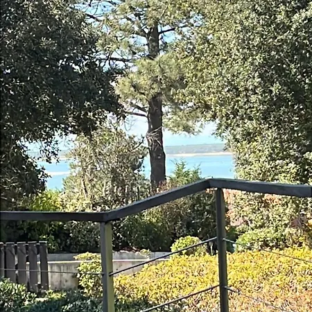 Maison Albatros 4*