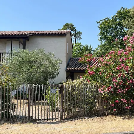 Maison Albatros Pyla Sur Mer